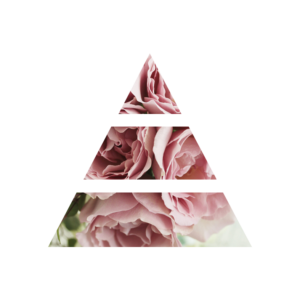 fragranza sweet peonia piramide olfattiva my fragrances