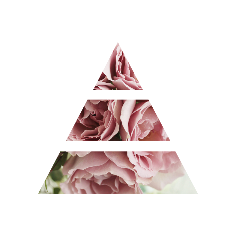 fragranza sweet peonia piramide olfattiva my fragrances